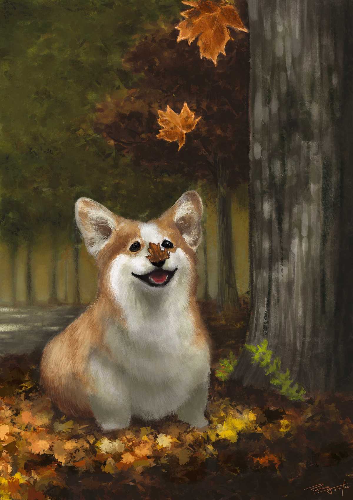 Dog in autumn